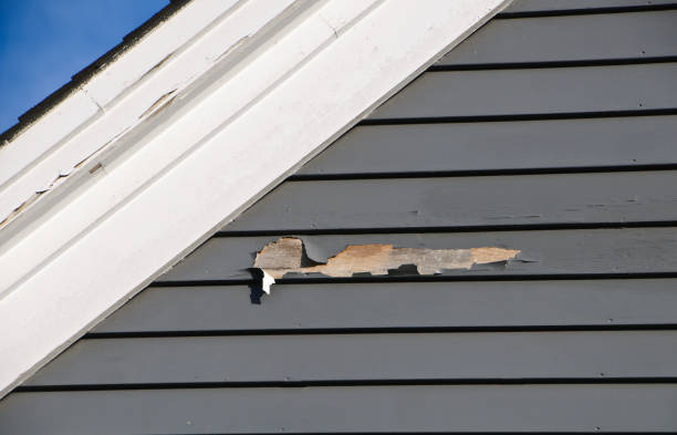 Best Hoarding Cleanup  in Nappanee, IN